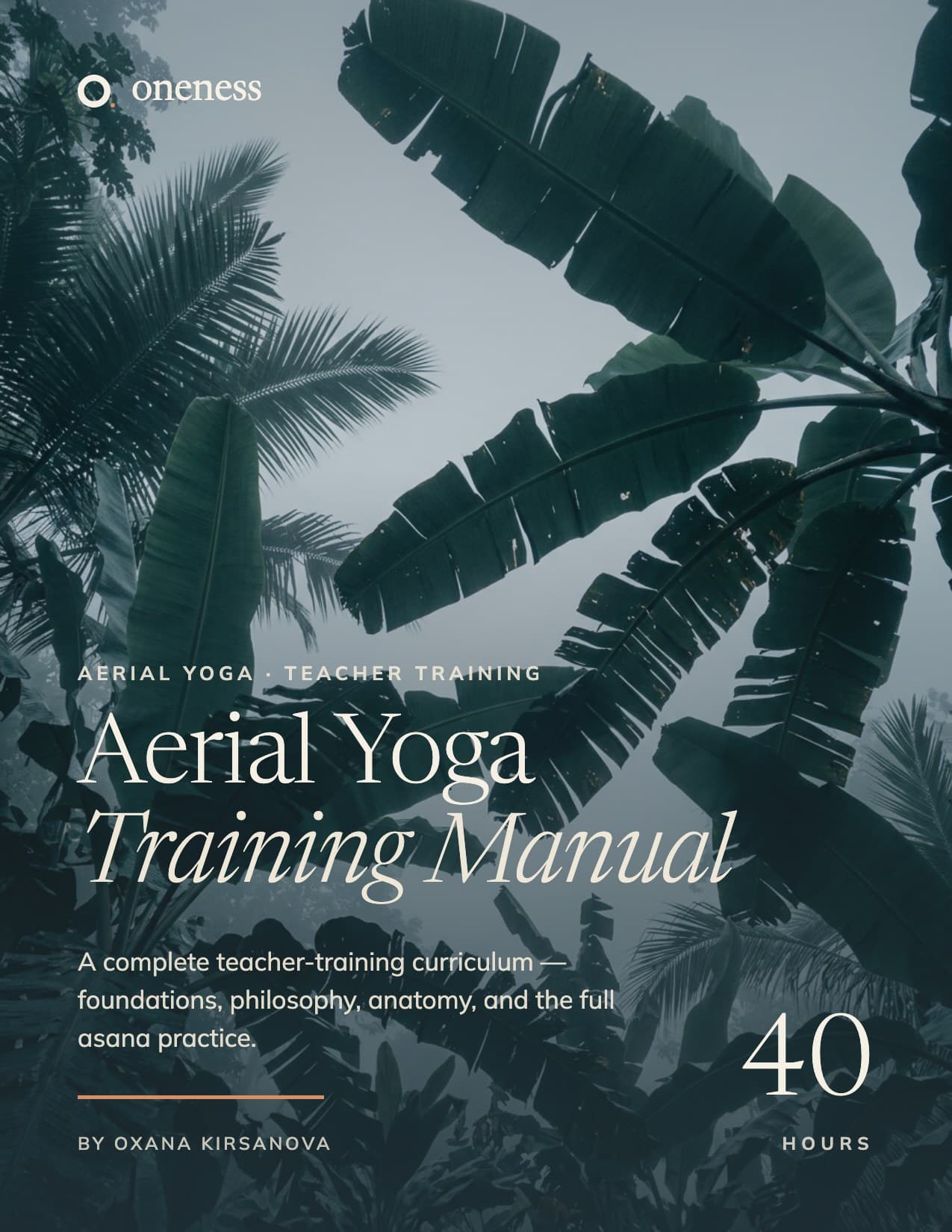 Cover of Aerial Yoga Teacher Training Manual: 40-Hour Beginner Certification Guide
