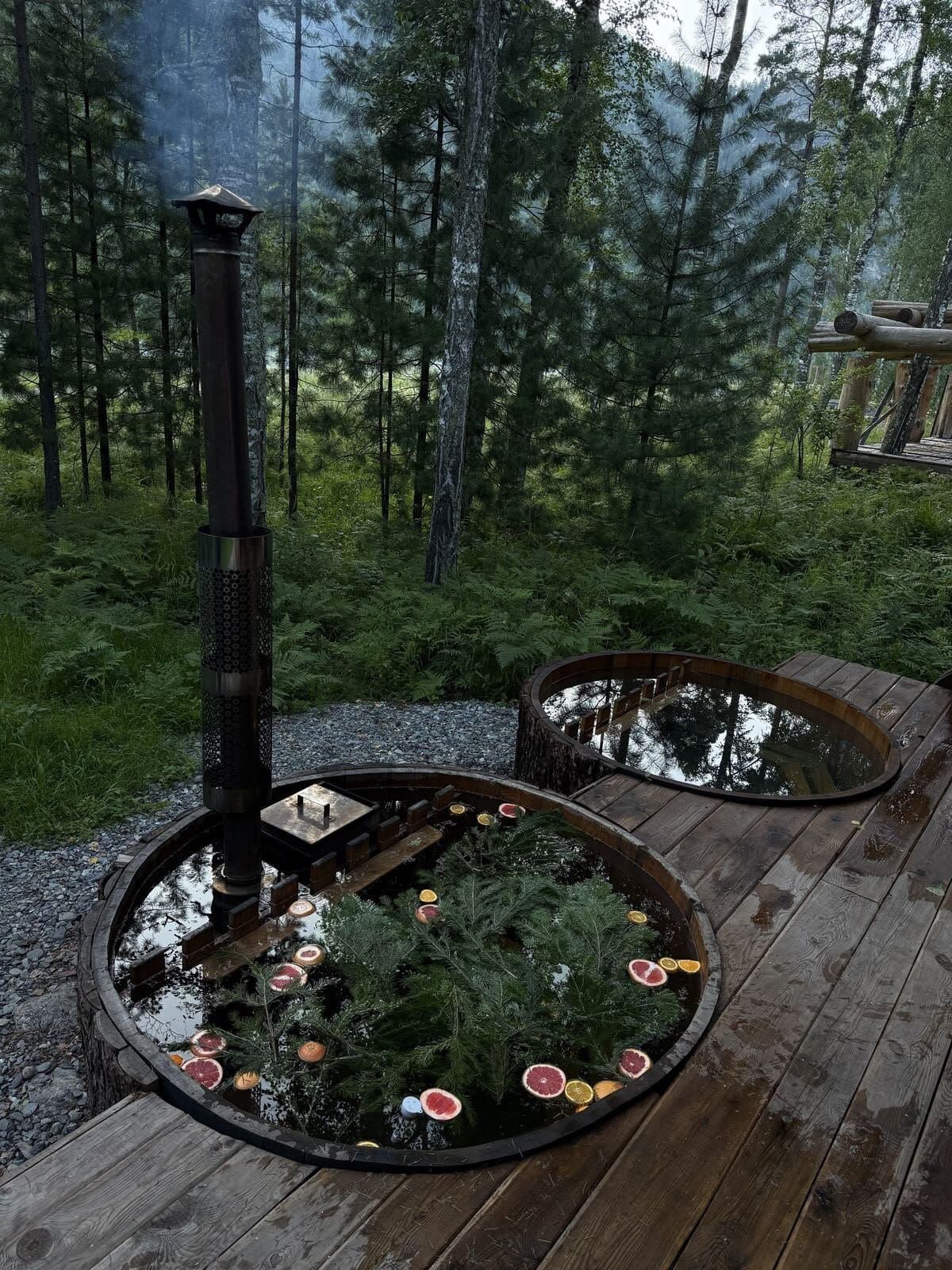 A round wooden hot tub on a deck in a pine forest, its water covered with cedar branches and slices of grapefruit and orange, a metal stove chimney beside it
